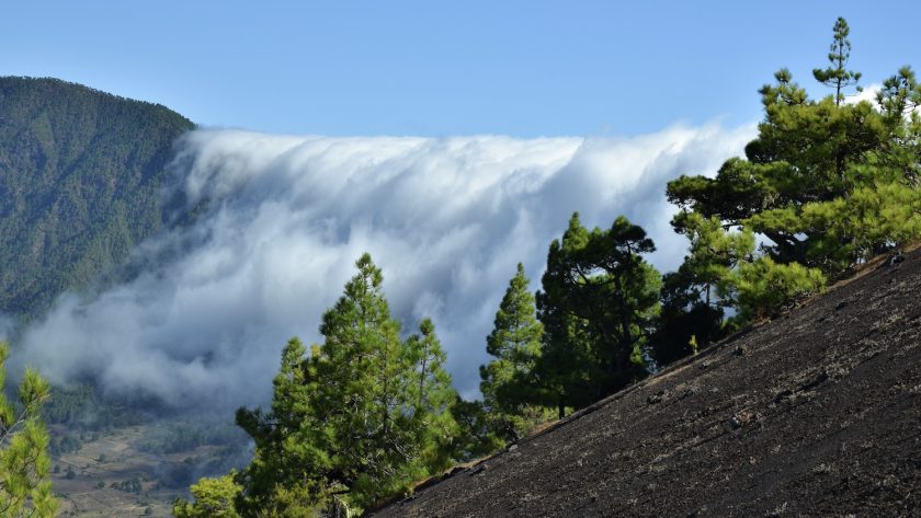La Palma Canarische Eilanden Spanje