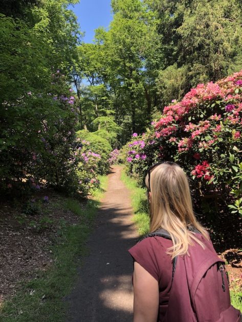 Landgoed Gooilust Irene rododendrons
