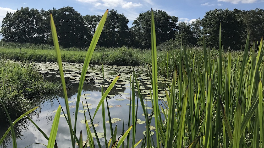 Wandelen Oppad Kromme Rade water - wandelroute in het Gooi