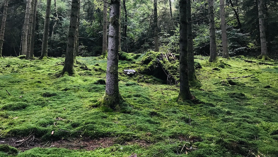 Maissin Redu wandelroute