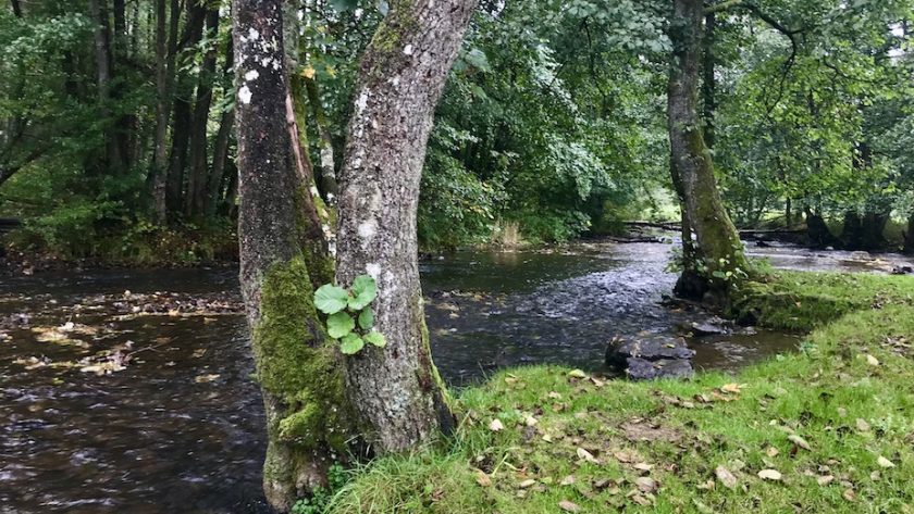Maissin Redu wandelroute rivier de Lesse