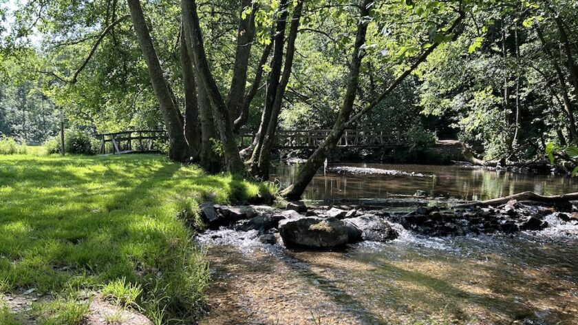 Wandelen van Maissin naar Redu in de zomer - de rivier de Lesse in Lesse