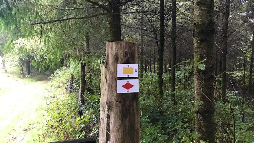 Wandelroute Virée à Chêne rode ruit - wandelen van Maissin naar Redu