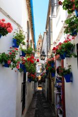 Calleja de las Flores, Córdoba, Spain