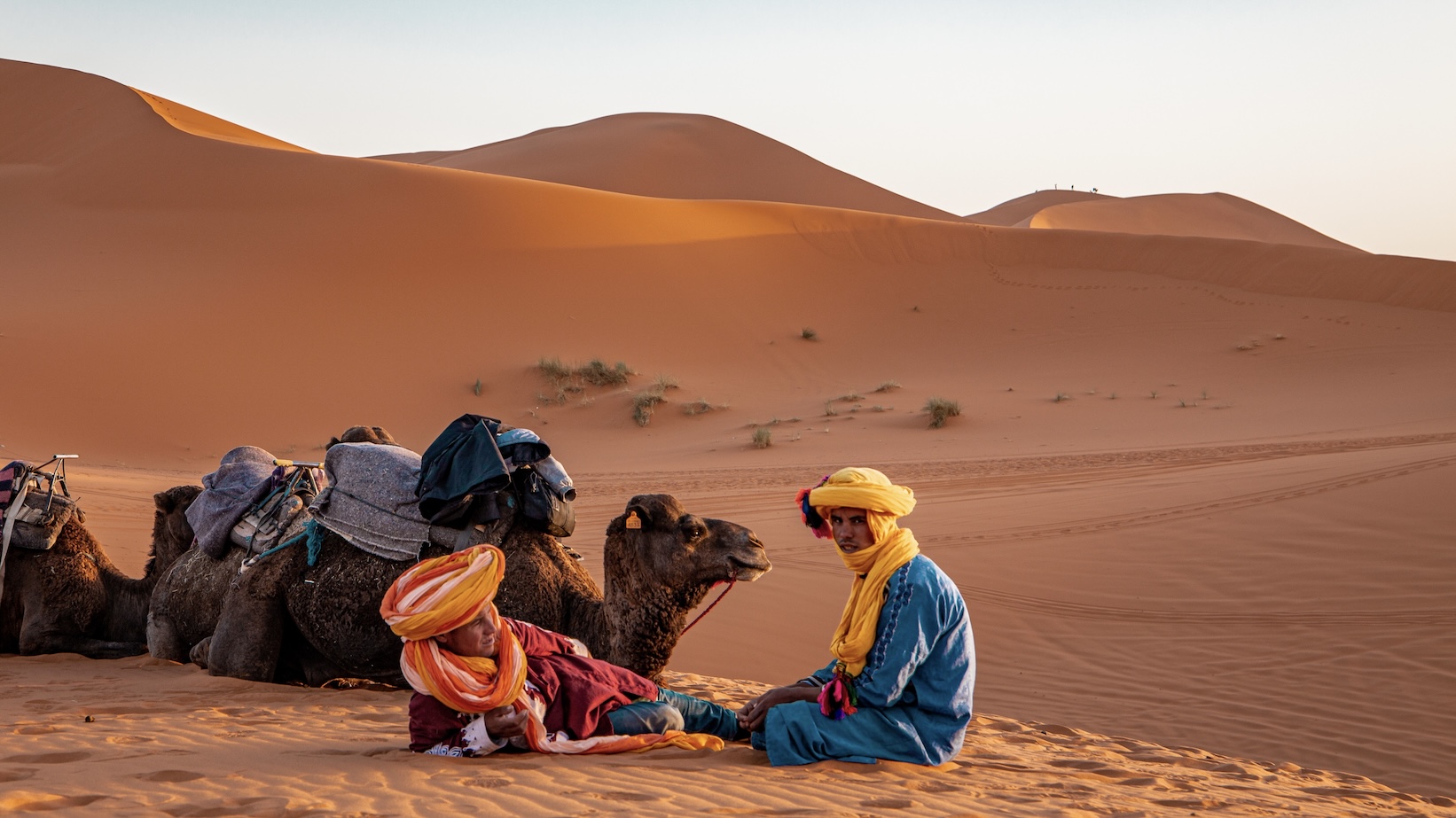 Dagtrips vanuit Ouarzazate - Merzouga Marokko dromedaris