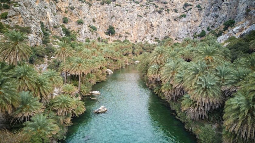 Dagtrips Agia Galini palmenbos Preveli