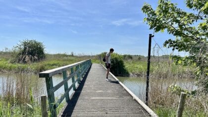 Dodaarspad Oostvaardersplassen Boy