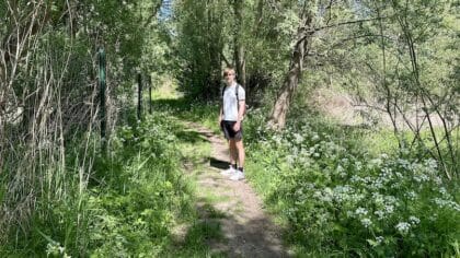 Dodaarspad Oostvaardersplassen Flevoland Boy bos