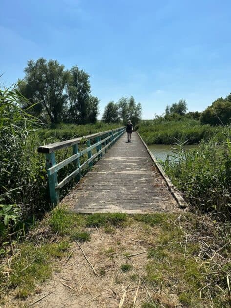 Wandelen Oostvaardersplassen brug Irene