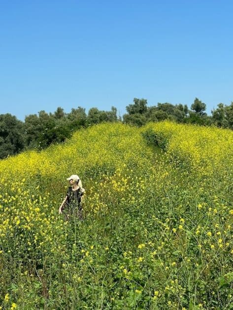 Wandelen Oostvaardersplassen boswachterspad 't Lange Pad - gele bloemen Irene