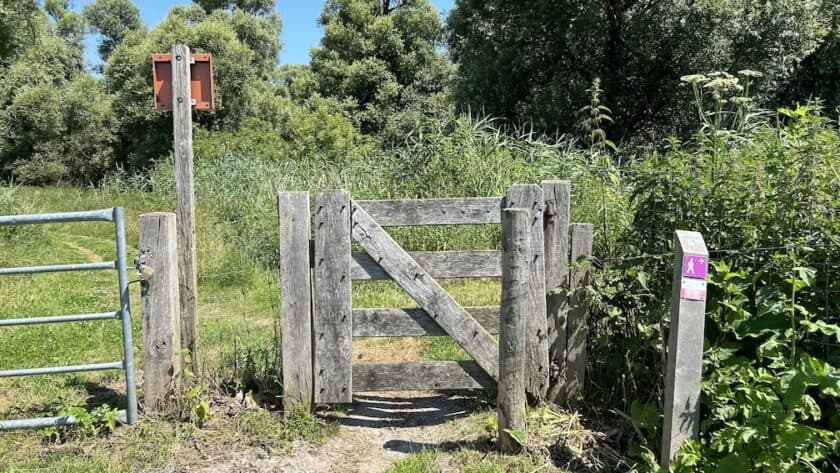 Wandelen Oostvaardersplassen boswachterspad 't Lange Pad - hek