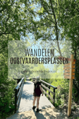 Wandelen Oostvaardersplassen in Flevoland