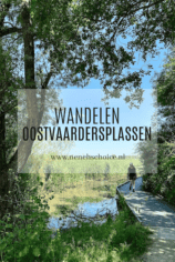 Wandelen Oostvaardersplassen in Flevoland