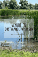 Wandelen Oostvaardersplassen in Flevoland