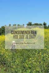 Consuminderen-hoe-doe-je-dat