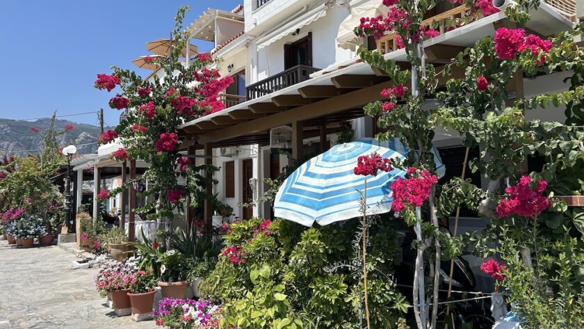 Kokkari op Samos bougainvillea op schiereiland Moshonisi