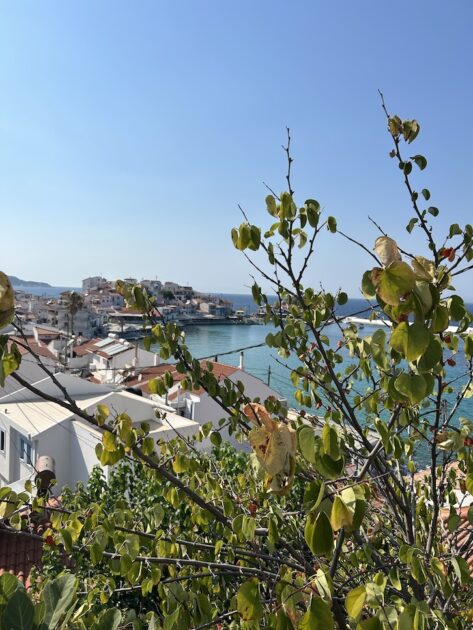 Kokkari op Samos uitzicht