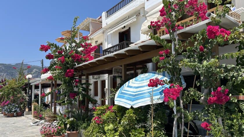 Kokkari op Samos roze bloemen