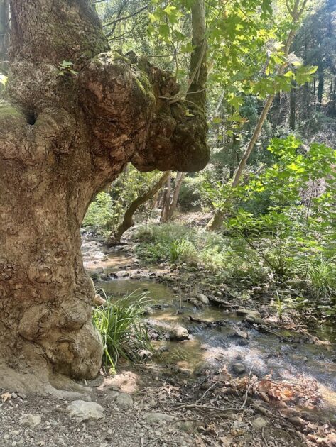 Potami Watervallen op Samos kabbelend riviertje