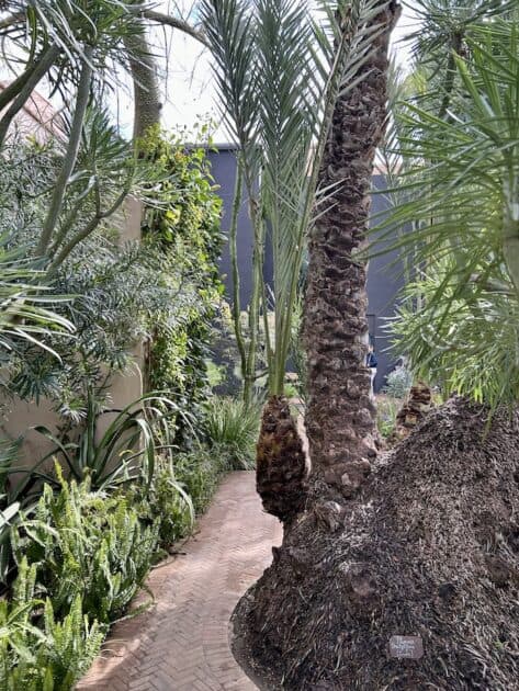 Le Jardin Secret Marrakech tuin pad