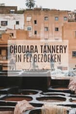 Chouara Tannery in Fez