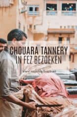 Leerlooierij in Fez bezoeken