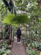 Hortus Botanicus Leiden, tropische kas Boy