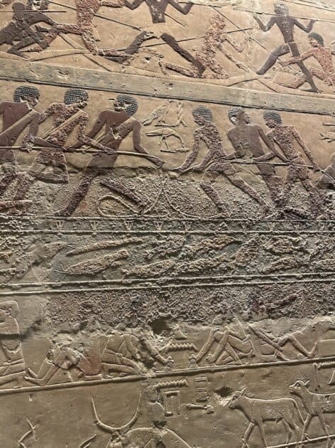 Rijksmuseum van Oudheden Leiden, muur inscripties Egypte tekeningen