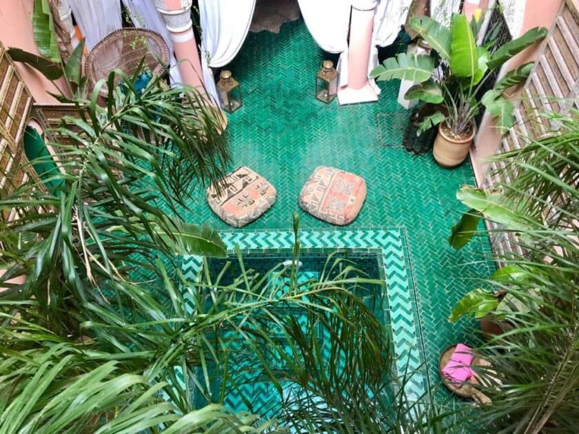 The Bohemian Jungle top view