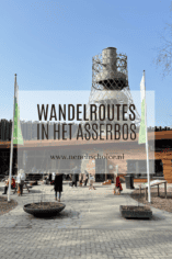 Wandelen in het Asserbos