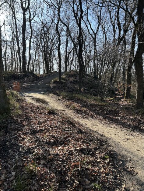 Wandelroutes Hoge Veluwe de Franse Berg trap