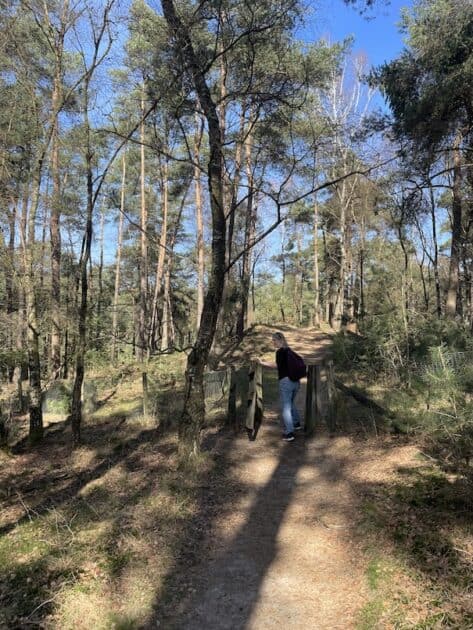 Wandelroutes Hoge Veluwe hekje Irene