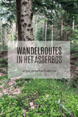 Wandelroutes in het Asserbos Assen