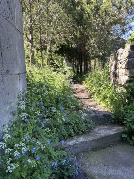 Armenië, Haghpat, Klooster van Haghpat, pad met bloemen