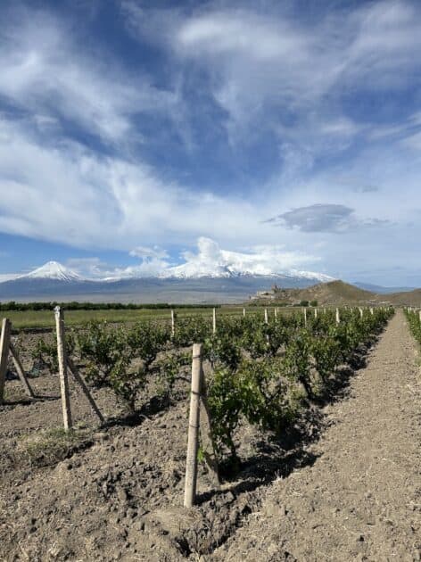 Khor Virap in Armenië, uitzicht vanuit wijngaard met Ararat op de achtergrond