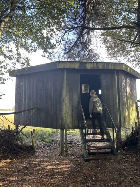 Nationaal Park Dwingelderveld, vogelkijhut Davidsplassen Boy