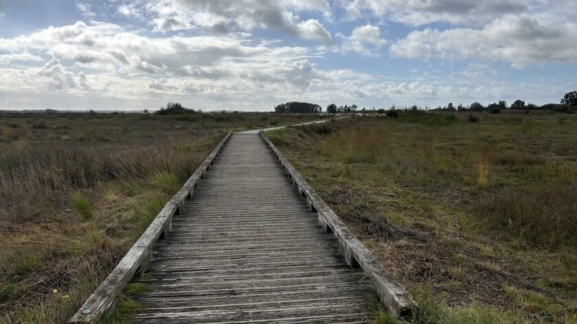 Nationaal Park Dwingelderveld, wandelroute