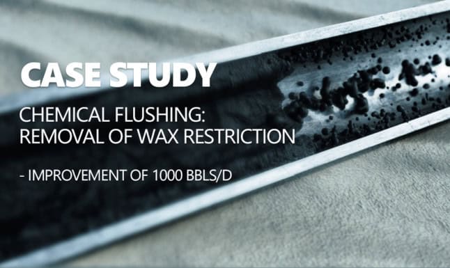 Chemical flushing intervention case study