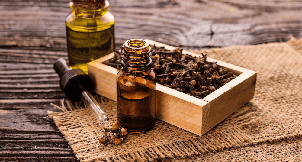 Could clove oil be used to nonsurgically sterilize male dogs?