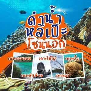 หน้าหลัก | ภูเก็ตชิลล์