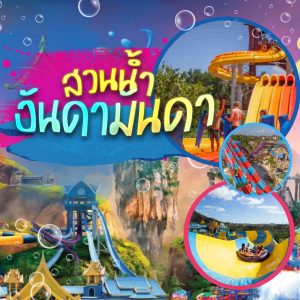 โชว์และการแสดง | ภูเก็ตชิลล์