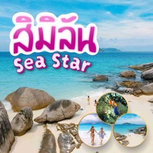 หน้าแรก | ภูเก็ตชิลล์