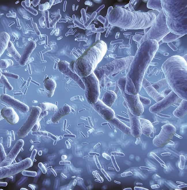 Close-up of viable microbial bacteria colonies for contamination monitoring.