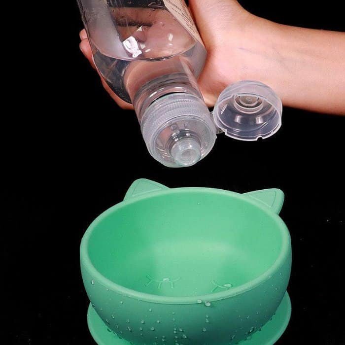 Disinfecting a pet water bowl with a spray bottle, close-up shot. Pet hygiene, cleaning routines, and water bowls for pets, focusing on pet care and maintenance.