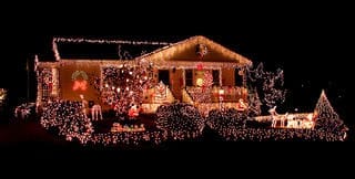 Christmas Trees, Lights and Dr. Seuss in Charlottesville