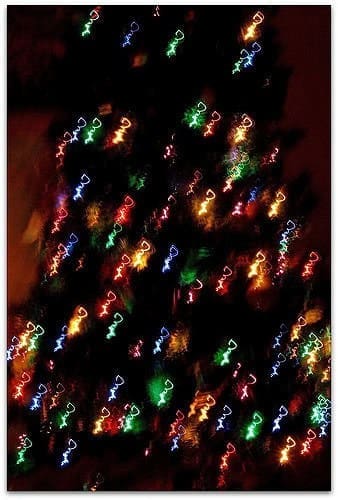 Looking for Christmas Trees in Charlottesville?