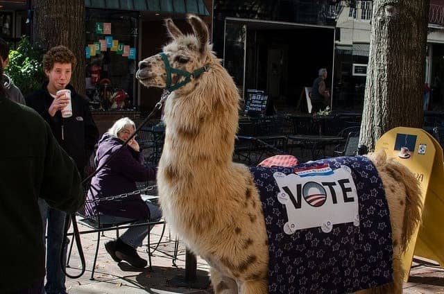 4 Things About Voting in Albemarle and Charlottesville on 6 November 2018