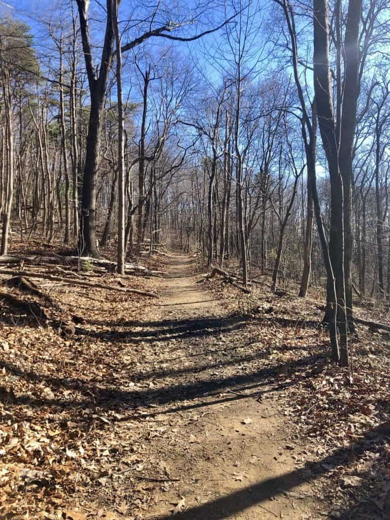 End of 2018 Charlottesville Area Market Report