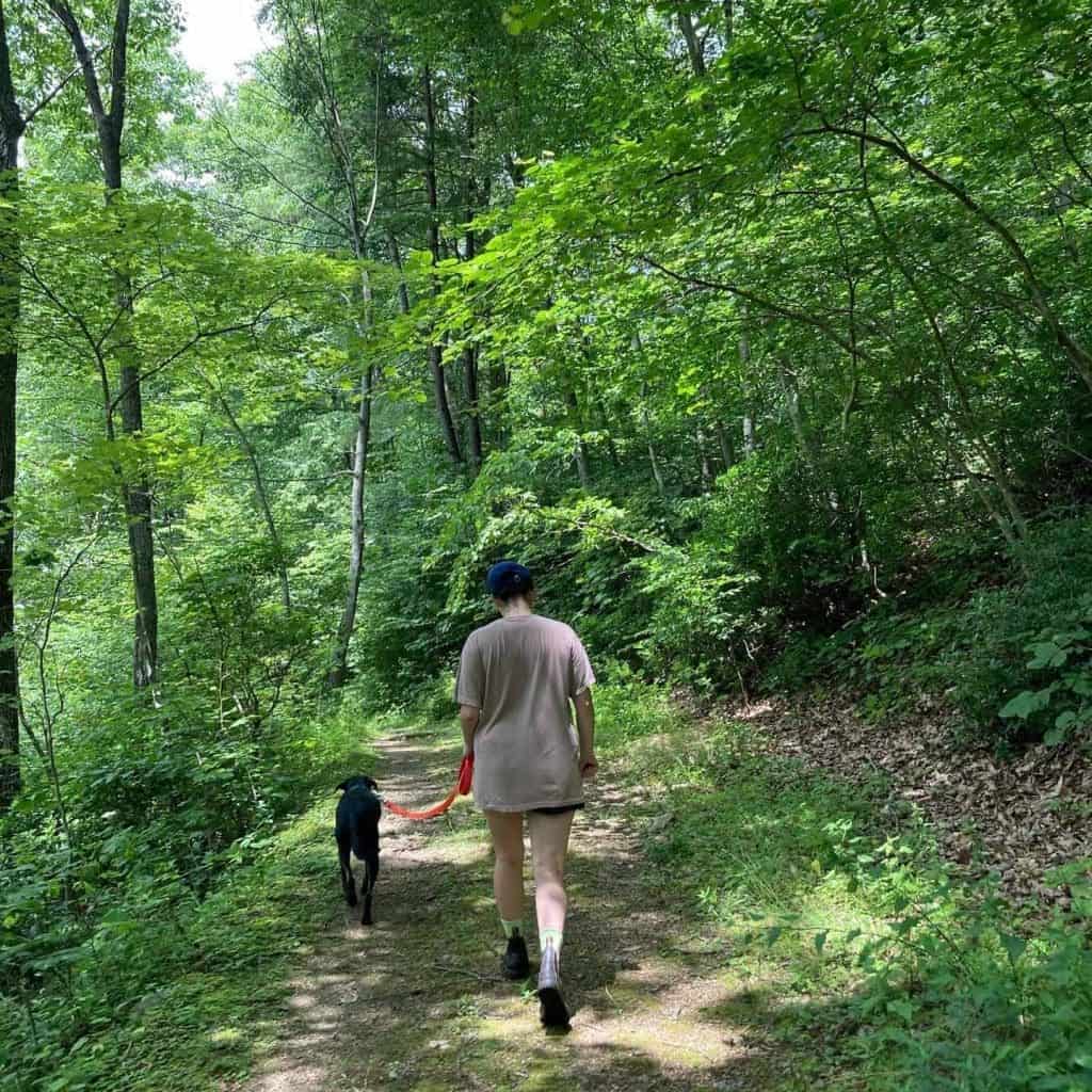 Charlottesville Real Estate Market – Quick Look in Mid-June 2020