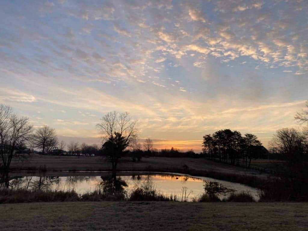 Inventory in Charlottesville and Albemarle – 2021 edition